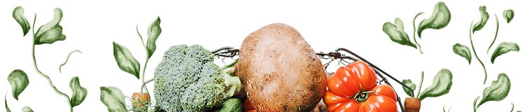 organic-farming-illustrations-02